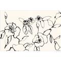 Picture of Blooming in Lines _GroupedProduct_Rectangle_Landscape_Unframed_Print_Only_