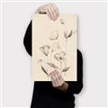 Picture of The Language of Petals II _GroupedProduct_Rectangle_Portrait_Canvas_