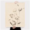 Picture of The Language of Petals II _GroupedProduct_Rectangle_Portrait_Canvas_
