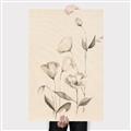 Picture of The Language of Petals II _GroupedProduct_Rectangle_Portrait_Canvas_