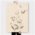 Picture of The Language of Petals II _GroupedProduct_Rectangle_Portrait_Canvas_