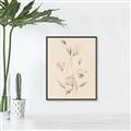 Picture of The Language of Petals I _GroupedProduct_Rectangle_Portrait_Canvas_Framed_