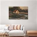 Picture of Shadows of the Old Barn _GroupedProduct_Rectangle_Landscape_Unframed_Print_Only_