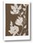 Picture of Shadowed Petals