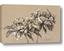 Picture of Botanical Essence