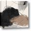 Picture of Ink in Motion I