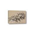 Picture of Botanical Essence _GroupedProduct_Rectangle_Landscape_Canvas_