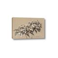 Picture of Botanical Essence _GroupedProduct_Rectangle_Landscape_Canvas_