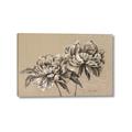Picture of Botanical Essence _GroupedProduct_Rectangle_Landscape_Canvas_