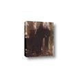 Picture of Mystic Shadows _GroupedProduct_Rectangle_Portrait_Canvas_