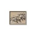 Picture of Botanical Essence _GroupedProduct_Rectangle_Landscape_Canvas_Framed_