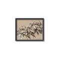 Picture of Botanical Essence _GroupedProduct_Rectangle_Landscape_Canvas_Framed_