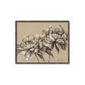 Picture of Botanical Essence _GroupedProduct_Rectangle_Landscape_Canvas_Framed_