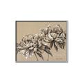 Picture of Botanical Essence _GroupedProduct_Rectangle_Landscape_Canvas_Framed_