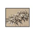 Picture of Botanical Essence _GroupedProduct_Rectangle_Landscape_Canvas_Framed_