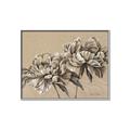 Picture of Botanical Essence _GroupedProduct_Rectangle_Landscape_Canvas_Framed_