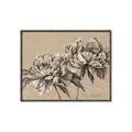 Picture of Botanical Essence _GroupedProduct_Rectangle_Landscape_Canvas_Framed_
