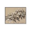 Picture of Botanical Essence _GroupedProduct_Rectangle_Landscape_Canvas_Framed_