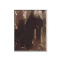 Picture of Mystic Shadows _GroupedProduct_Rectangle_Portrait_Canvas_Framed_