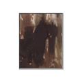 Picture of Mystic Shadows _GroupedProduct_Rectangle_Portrait_Canvas_Framed_