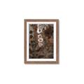 Picture of Depths of Texture _GroupedProduct_Rectangle_Portrait_Framed_Matted_