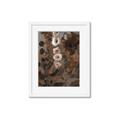 Picture of Depths of Texture _GroupedProduct_Rectangle_Portrait_Framed_Matted_
