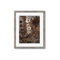 Picture of Depths of Texture _GroupedProduct_Rectangle_Portrait_Framed_Matted_