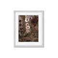 Picture of Depths of Texture _GroupedProduct_Rectangle_Portrait_Framed_Matted_