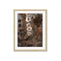 Picture of Depths of Texture _GroupedProduct_Rectangle_Portrait_Framed_Matted_