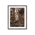 Picture of Depths of Texture _GroupedProduct_Rectangle_Portrait_Framed_Matted_
