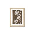 Picture of Shadowed Petals _GroupedProduct_Rectangle_Portrait_Framed_Matted_