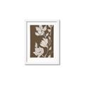 Picture of Shadowed Petals _GroupedProduct_Rectangle_Portrait_Framed_Matted_