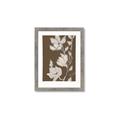Picture of Shadowed Petals _GroupedProduct_Rectangle_Portrait_Framed_Matted_