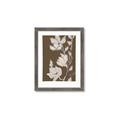 Picture of Shadowed Petals _GroupedProduct_Rectangle_Portrait_Framed_Matted_