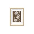Picture of Shadowed Petals _GroupedProduct_Rectangle_Portrait_Framed_Matted_
