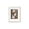 Picture of Shadowed Petals _GroupedProduct_Rectangle_Portrait_Framed_Matted_