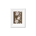 Picture of Shadowed Petals _GroupedProduct_Rectangle_Portrait_Framed_Matted_