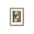 Picture of Shadowed Petals _GroupedProduct_Rectangle_Portrait_Framed_Matted_