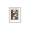 Picture of Shadowed Petals _GroupedProduct_Rectangle_Portrait_Framed_Matted_