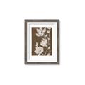 Picture of Shadowed Petals _GroupedProduct_Rectangle_Portrait_Framed_Matted_