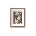 Picture of Shadowed Petals _GroupedProduct_Rectangle_Portrait_Framed_Matted_
