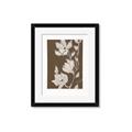 Picture of Shadowed Petals _GroupedProduct_Rectangle_Portrait_Framed_Matted_