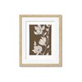 Picture of Shadowed Petals _GroupedProduct_Rectangle_Portrait_Framed_Matted_