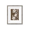 Picture of Shadowed Petals _GroupedProduct_Rectangle_Portrait_Framed_Matted_