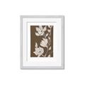 Picture of Shadowed Petals _GroupedProduct_Rectangle_Portrait_Framed_Matted_