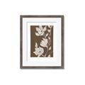 Picture of Shadowed Petals _GroupedProduct_Rectangle_Portrait_Framed_Matted_