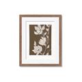 Picture of Shadowed Petals _GroupedProduct_Rectangle_Portrait_Framed_Matted_
