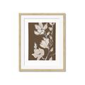 Picture of Shadowed Petals _GroupedProduct_Rectangle_Portrait_Framed_Matted_