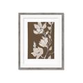 Picture of Shadowed Petals _GroupedProduct_Rectangle_Portrait_Framed_Matted_