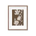 Picture of Shadowed Petals _GroupedProduct_Rectangle_Portrait_Framed_Matted_
